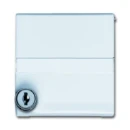 ABB Busch-Jaeger centraalplaat + kd + eenheid slot verloop si ip44 70x70x32mm Met tekstveld klapdeksel wit RAL 9010 2CKA001710A3793