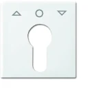 ABB Busch-Jaeger Balance Centraalplaat slot 27 USL-101 SI-B sleutel wit RAL 9010 2CKA001710A4069