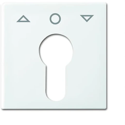 ABB Busch-Jaeger Balance Centraalplaat slot 27 USL-101 SI-B sleutel wit RAL 9010 2CKA001710A4069