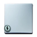 ABB Busch-Jaeger centraalplaat kd + slot verloop voor si ip44 70x70x32mm klapdeksel aluminium RAL 9006 2CKA001710A3789