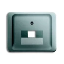 ABB Busch-Jaeger Alpha Centraalplaat datadoos RJ45 Jack plug Centraalplaat 1 connector Zonder label titanium 2CKA001710A3348