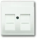 ABB Busch-Jaeger Future Centraalplaat Jack plug Centraalplaat 2 connectoren Met label wit 2CKA001710A3887