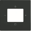 ABB Busch-Jaeger Future Axcent Carat Centraalplaat digitale radio antraciet RAL 7021 2CKA008200A0248