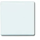 ABB Busch-Jaeger bedieningselement wissel/2-p en puls aan / uit enkele wip wit RAL 9010 2CKA001731A1593