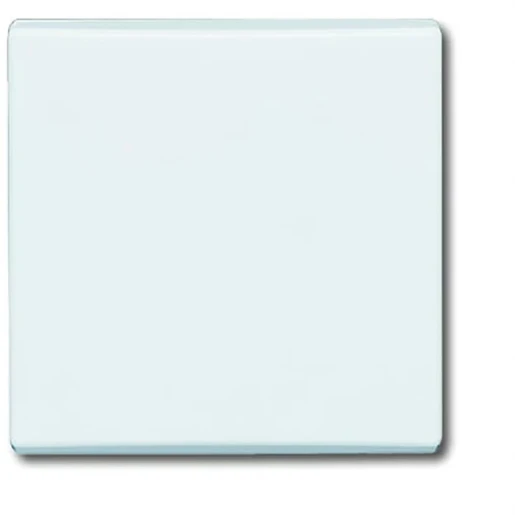 ABB Busch-Jaeger bedieningselement wissel/2-p en puls aan / uit enkele wip wit RAL 9010 2CKA001731A1593