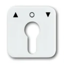 ABB Busch-Jaeger Reflex SI Centraalplaat slot sleutel wit RAL 9010 2CKA001710A1415