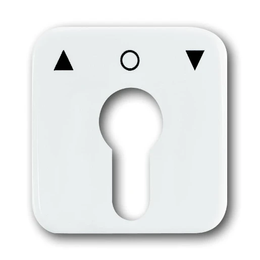 ABB Busch-Jaeger Reflex SI Centraalplaat slot sleutel wit RAL 9010 2CKA001710A1415