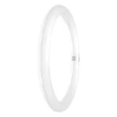 Osram G10q ronde led-buis em 3000K 2000lm 300mm 110° 220 - 240V gematteerd wit 4099854042669