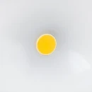 Steinel LS 150 Schijnwerper LS 150 symm 4000K 1760lm 176x155mm bewegingssensor >80° - Extreem breedstralend zwart 052546