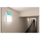 SLV Wand + plafondlamp nooduitgang verlichting LED met pictogram Vluchtwegverlichting/-indicatie Wandopbouw/plafondopbouw wit IP20 met pictogram 240000