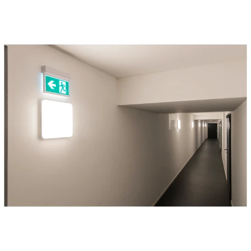 SLV Wand + plafondlamp nooduitgang verlichting LED met pictogram Vluchtwegverlichting/-indicatie Wandopbouw/plafondopbouw wit IP20 met pictogram 240000