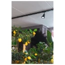 SLV Puri GU10 railspot armatuur 125x109mm zwart 143450