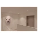 SLV New Tria LED-module 540lm 1007432