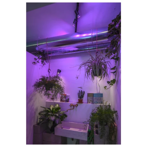 SLV Enola GU10 spot 135x125mm Ø67mm zwart 152010