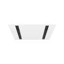 Regiolux Agila-Ager LED Inlegarmatuur 4000 827-865 DT8 2700 - 6500K 4000lm 622x622mm DALI-2 DALI 21-40° Steekklem wit 60623027670