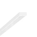 Regiolux Ballea LED Sporthalarmatuur 4000K 10600lm 1563x200mm DALI-2 DALI 21-40° Steekklem wit 67428026690