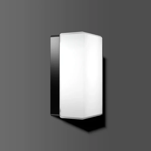 RZB Rechteck E27 Armatuur aan/uit 350lm 220x120mm >80° - Schroefklem zwart 21146.003