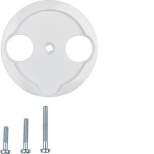 Hager berker 1930/GLAS Centraalplaat antennewandcontactdoos 2-gats glas Centraalplaat 2 connectoren Zonder label wit 103920