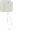 Hager trekschakelaar Wisselschakelaar opbouw 10AX wit IP20 61390640