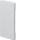 Hager Tehalit BR65 eindplaat wandgoot 130x68mm Halogeenvrij Kunststof onbehandeld wit RAL 9016 BR6513069016