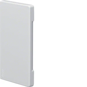 Hager Tehalit BR65 eindplaat wandgoot 130x68mm Halogeenvrij Kunststof onbehandeld wit RAL 9016 BR6513069016