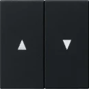 Gira System 55 Bedieningselement tweedelige wip zwart 0294005