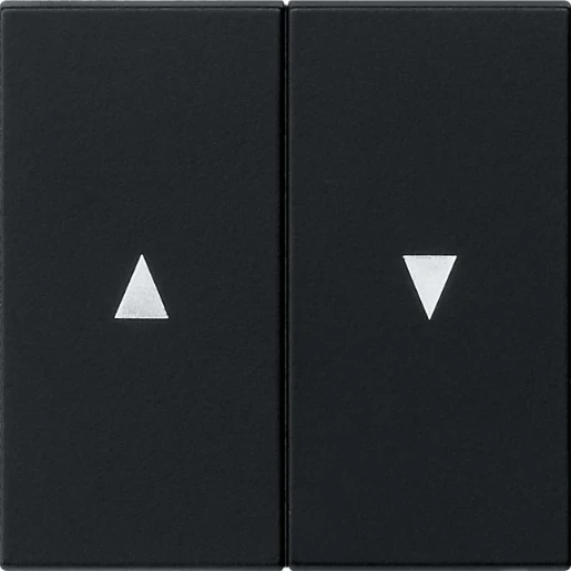 Gira System 55 Bedieningselement tweedelige wip zwart 0294005