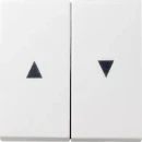 Gira System 55 bedieningselement tweedelige wip wit RAL 9010 029403