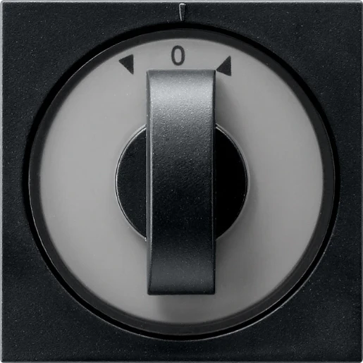 Gira System 55 Afdekking draaiknop tijdschakelaar knevelgreep zwart 0666005