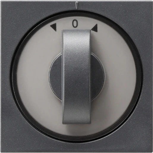 Gira System 55 Afdekking draaiknop tijdschakelaar knevelgreep antraciet 066628
