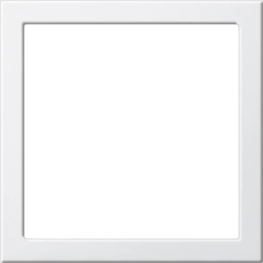 Gira System 55 Montageraam wit RAL 9010 264803