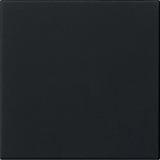 Gira System 55 S3000 bedieningselement enkelvoudig Mat zwart 5360005