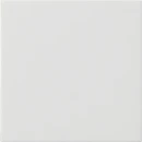 Gira System 55 s3000 bedieningselement zuiver wit enkelvoudig Glanzend wit RAL 9010 536003