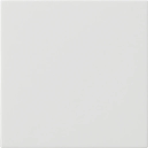 Gira System 55 s3000 bedieningselement zuiver wit enkelvoudig Mat wit RAL 9010 536027