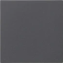 Gira System 55 S3000 bedieningselement enkelvoudig antraciet 536028