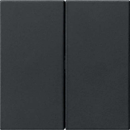 Gira System 55 s3000 bedieningselement 2-voudig Mat zwart 5362005