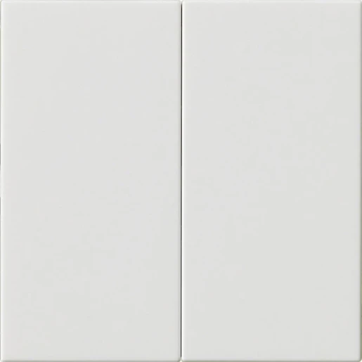 Gira System 55 s3000 bedieningselement zuiver wit 2-voudig Glanzend wit RAL 9010 536203