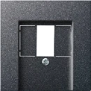 Gira System 55 Afdekking USB TAE Centraalplaat Zonder label antraciet 027628