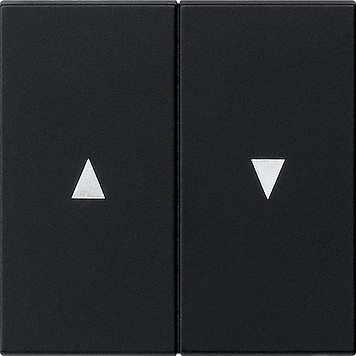 Gira System 55 Bedieningselement tweedelige wip zwart 0294005