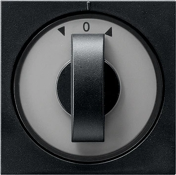 Gira System 55 Afdekking draaiknop tijdschakelaar knevelgreep zwart 0666005