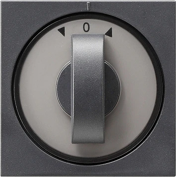 Gira System 55 Afdekking draaiknop tijdschakelaar knevelgreep antraciet 066628