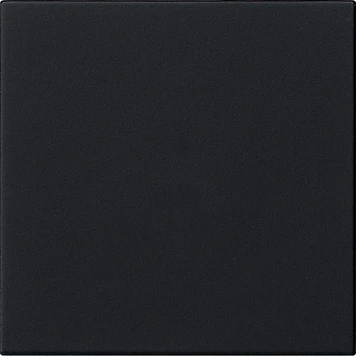 Gira System 55 S3000 bedieningselement enkelvoudig Mat zwart 5360005