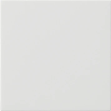 Gira System 55 s3000 bedieningselement zuiver wit enkelvoudig Glanzend wit RAL 9010 536003