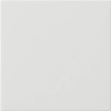 Gira System 55 s3000 bedieningselement zuiver wit enkelvoudig Mat wit RAL 9010 536027