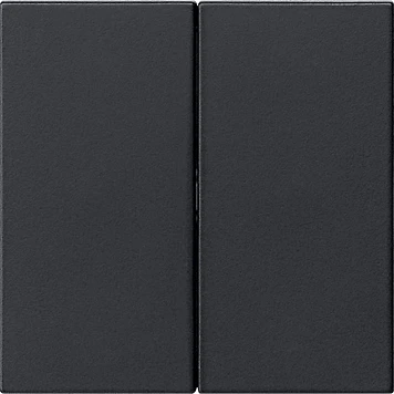 Gira System 55 s3000 bedieningselement 2-voudig Mat zwart 5362005