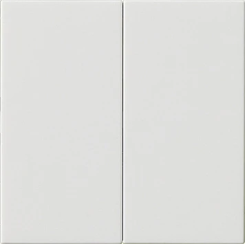 Gira System 55 s3000 bedieningselement zuiver wit 2-voudig Glanzend wit RAL 9010 536203