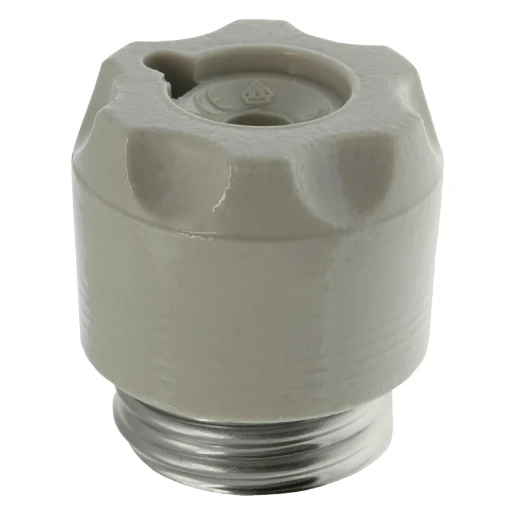 Eaton SCHROEFKOP D-ZEKERING 63 A AC 500 V E33/DIII IEC