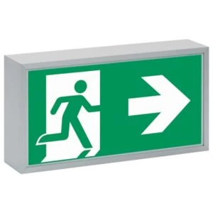 Eaton Blessing 71000 Noodverlichtingsarmatuur Vluchtwegindicatie Wandopbouw aluminium IP40 40071351280