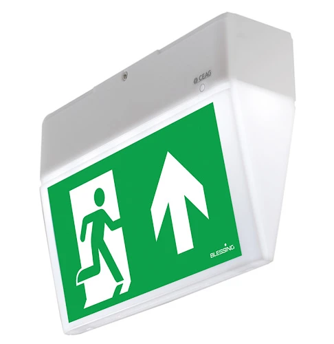 Eaton Blessing Euro X led noodverlichtingsarmatuur Vluchtwegindicatie Wandopbouw grijs IP54 met pictogram 40071354901