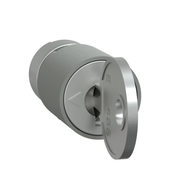 Schneider Electric PRISMA P CYLINDERSLOT+COMBSLOT 2433A